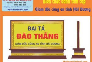 hai-duong